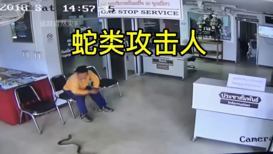 管家婆期期免费资料精选十码,走出校园霸凌阴霾,准确资料解释落实_纪念版V11.53